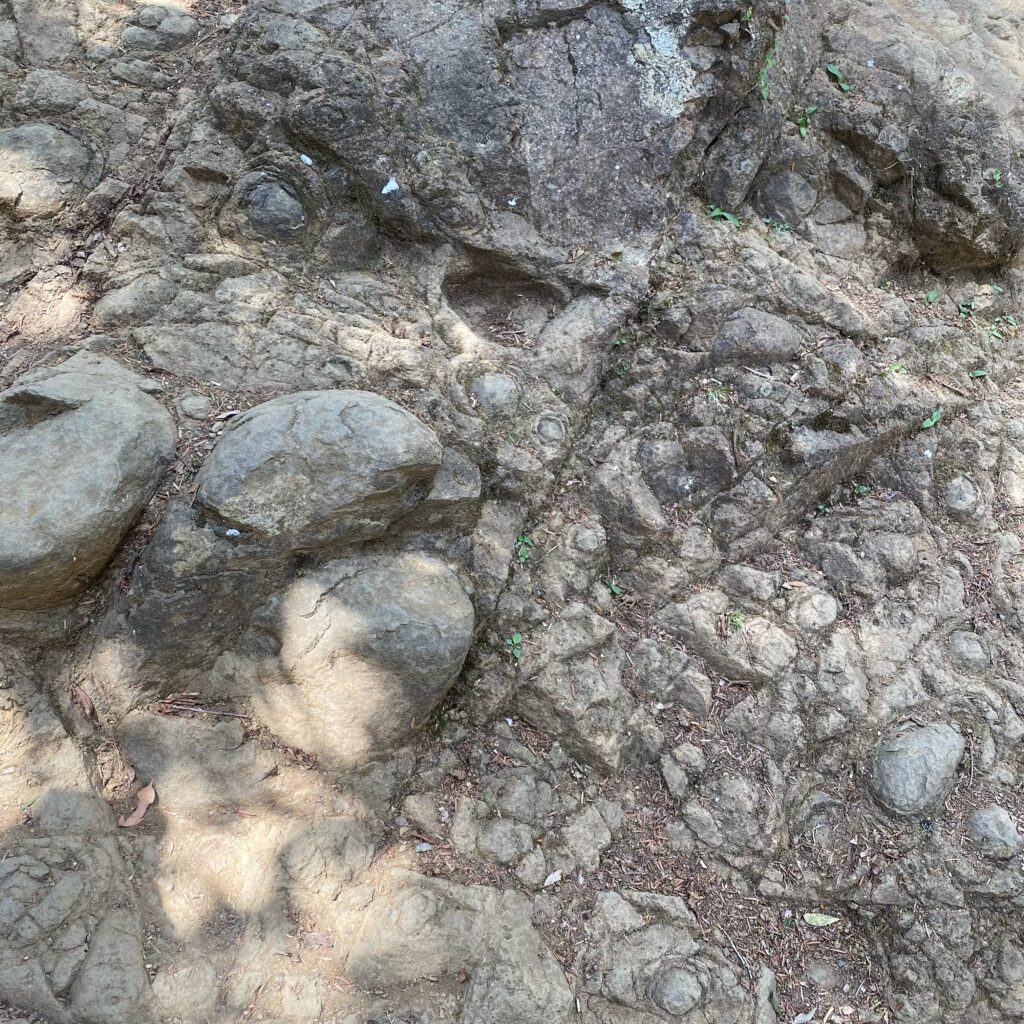 岩が露出する大山山頂への登山道