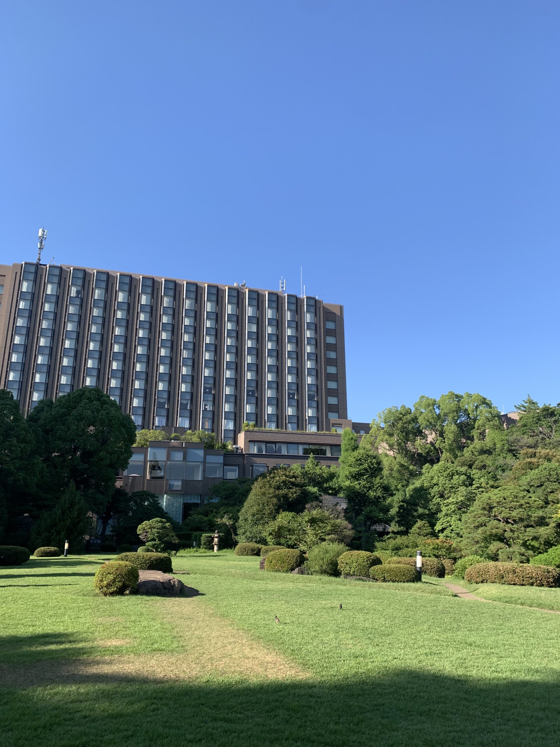 早稲田大学大隈庭園の緑と大学施設
