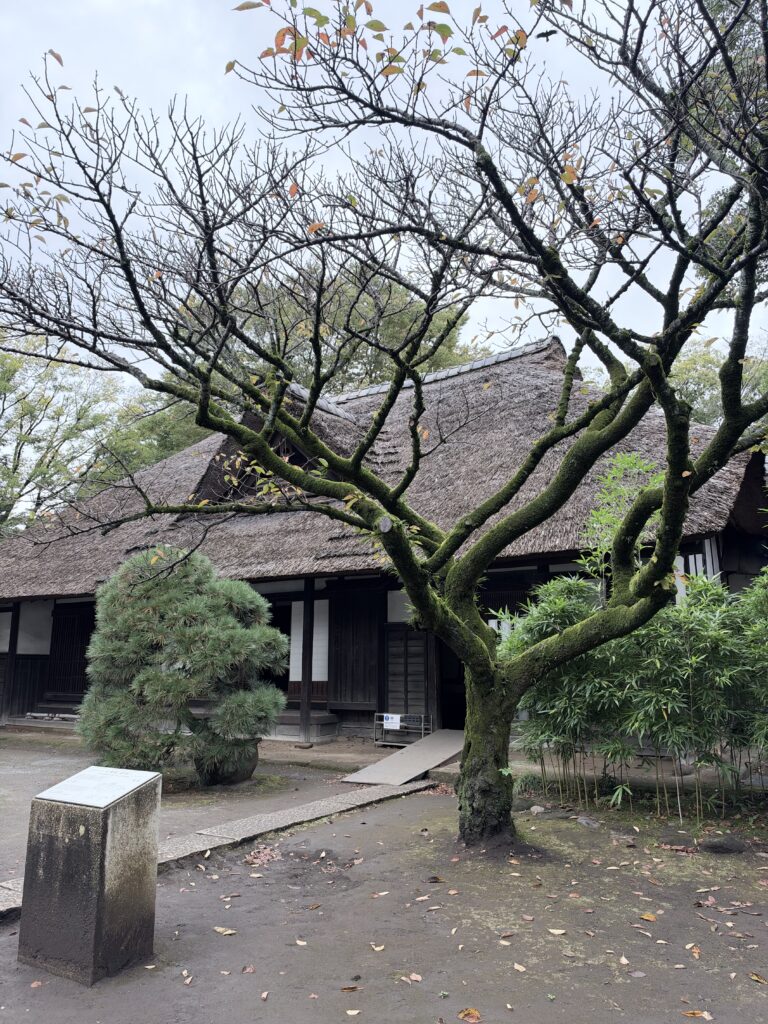 江戸東京たてもの園の天明家と茅葺き屋根