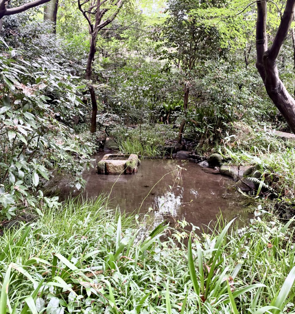 はけの森美術館に隣接する美術の森緑地の湧水と案内板
