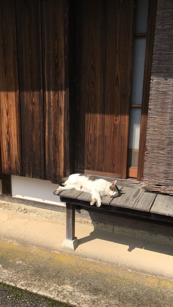 古い木造家屋の縁側で日向ぼっこをする白と茶色の猫
