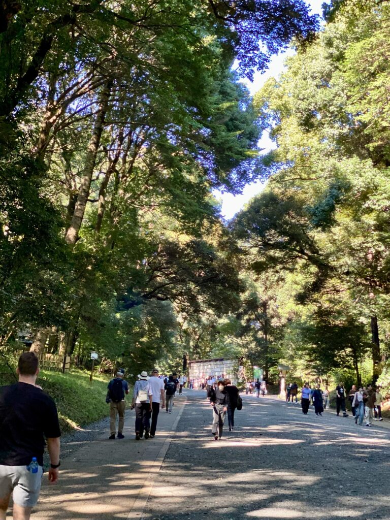 木々に覆われた明治神宮の参道