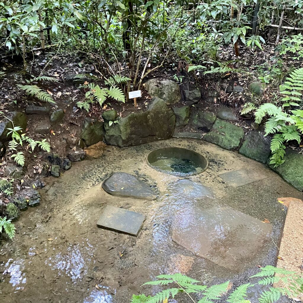 明治神宮御苑の清正井