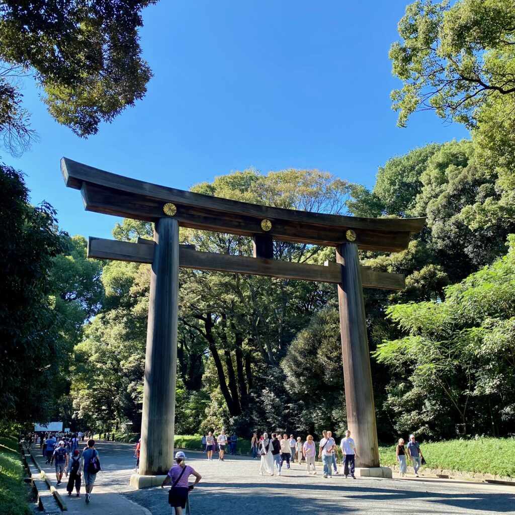明治神宮の大鳥居と深い杜