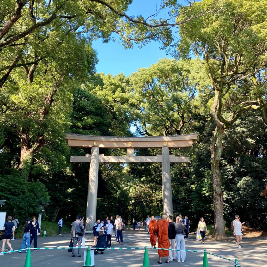 明治神宮御社殿へ続く参道と鳥居
