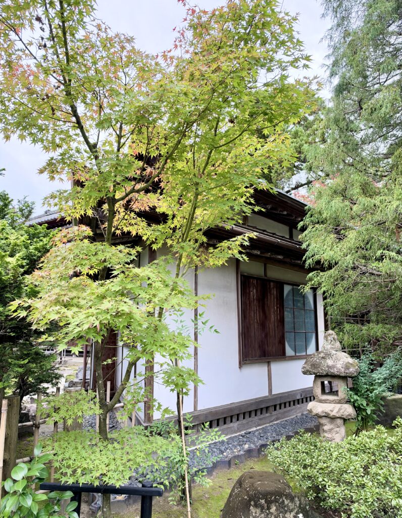 楓の木と石灯籠に囲まれた北方文化博物館の茶室・三楽亭